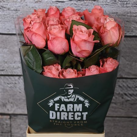 R Gr Be Sweet