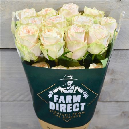 R Gr Champagnier